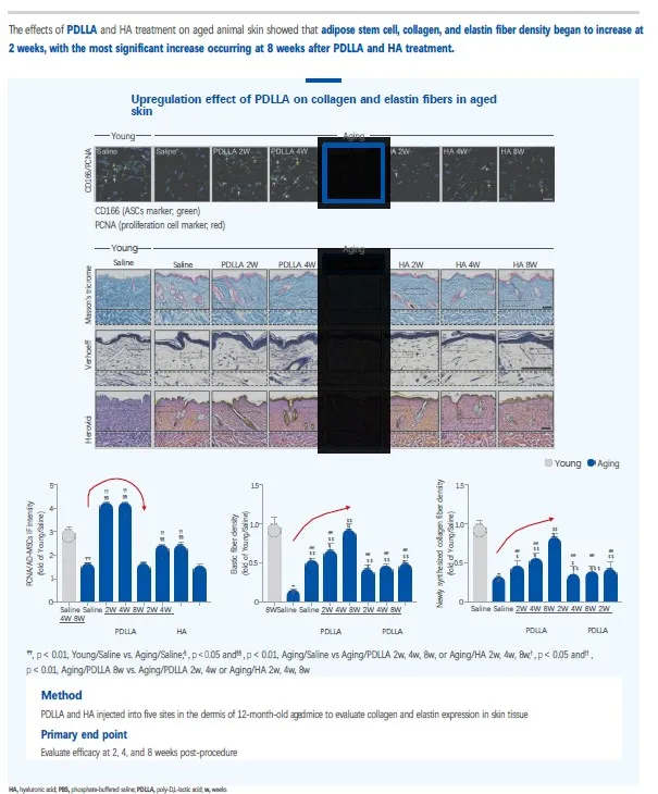 JUVELOOK (10 Vials/Box) – Natural, Long-Lasting Skin Booster 5 juvelook_4